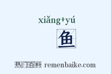 鮝鱼是什么意思的图片